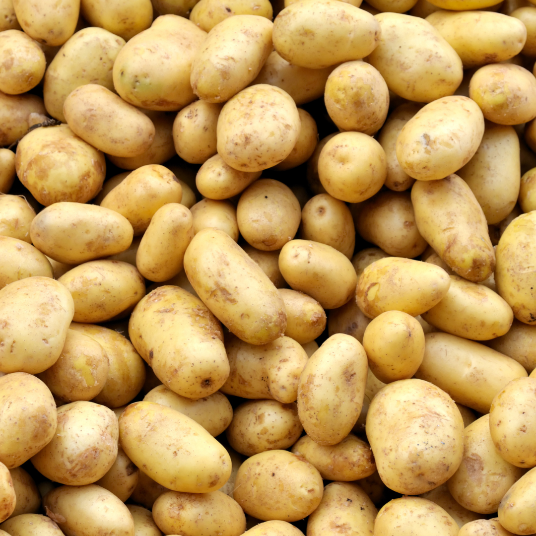 Sättpotatis - Helmi 1kg