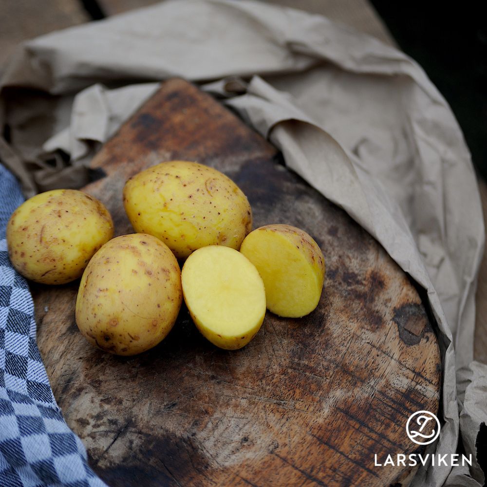 Sättpotatis - Merle 1kg