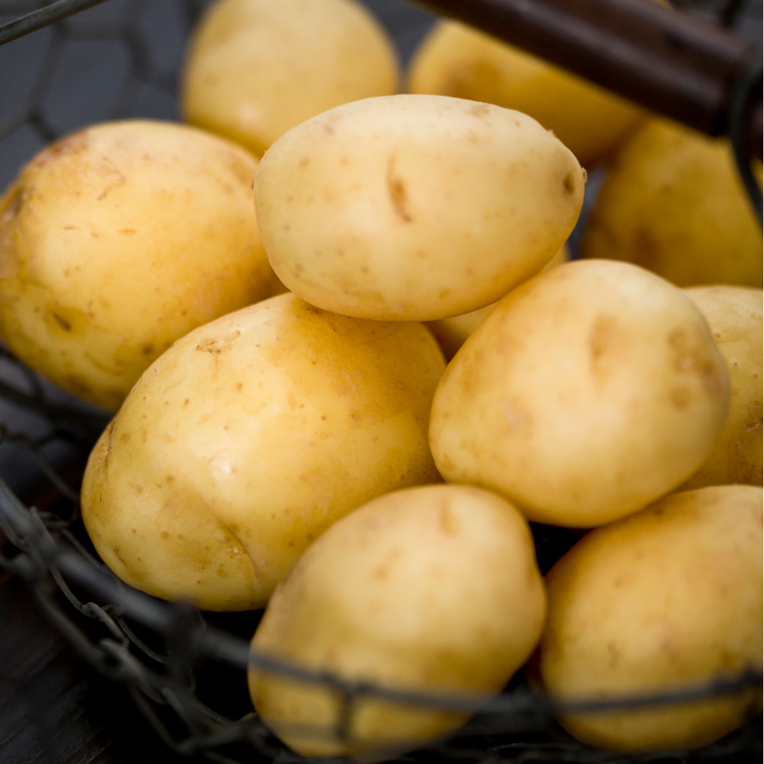 Sättpotatis - Plenty 1kg