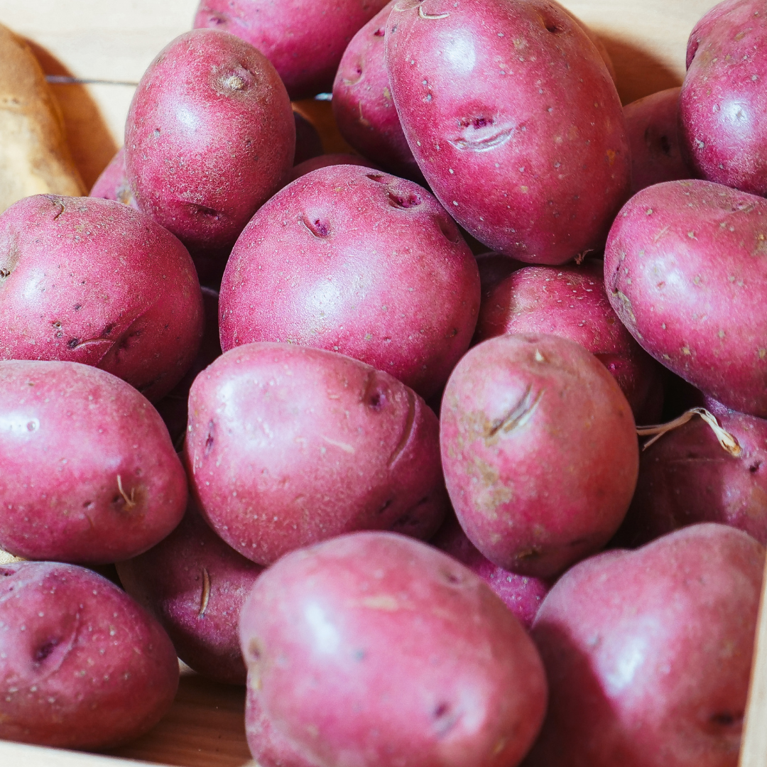 Sättpotatis - Rosara 1kg