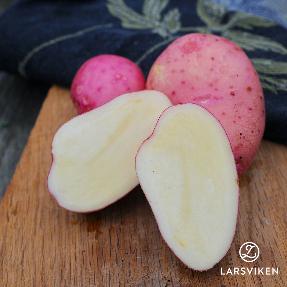 Sättpotatis - Sarpo Mira 1kg