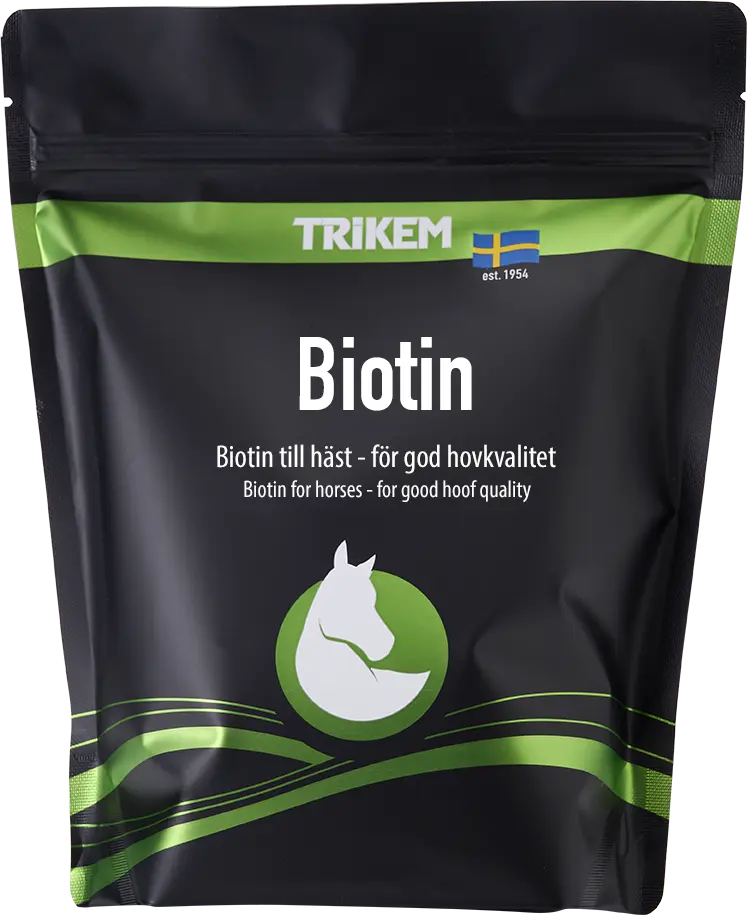 Trikem Biotin 1000 gram