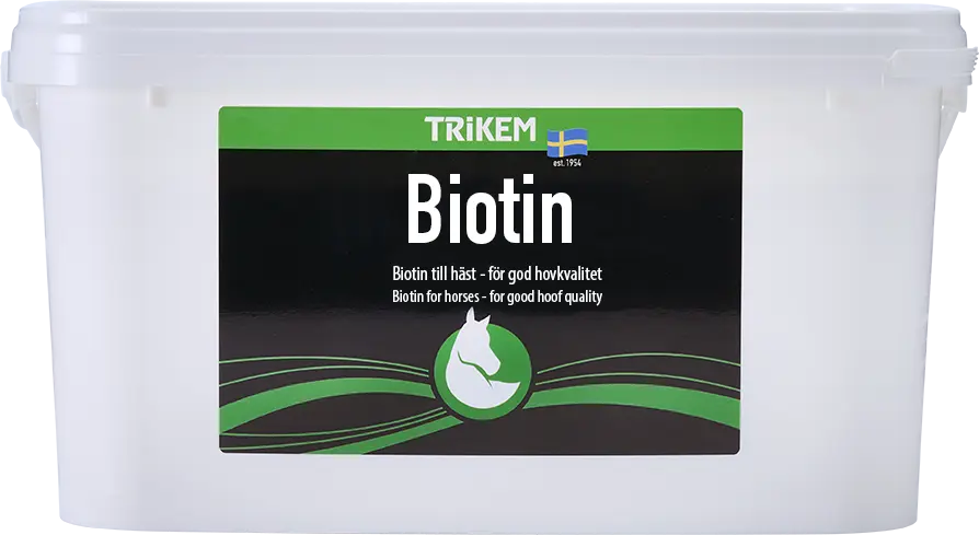Trikem Biotin 4000 gram