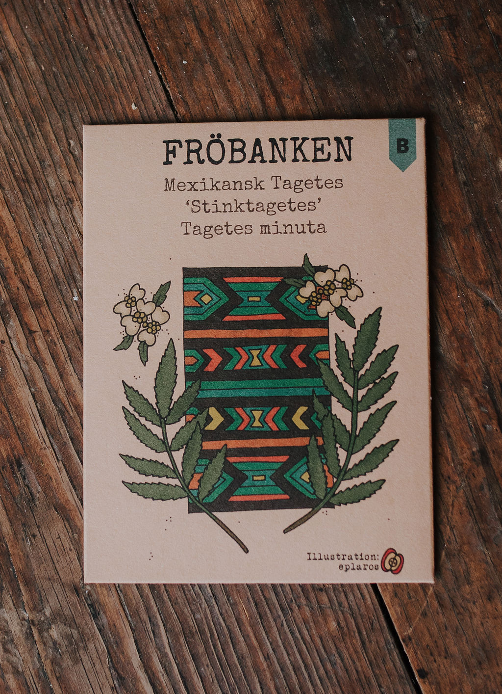 Mexikansk Tagetes - Stinktagetes