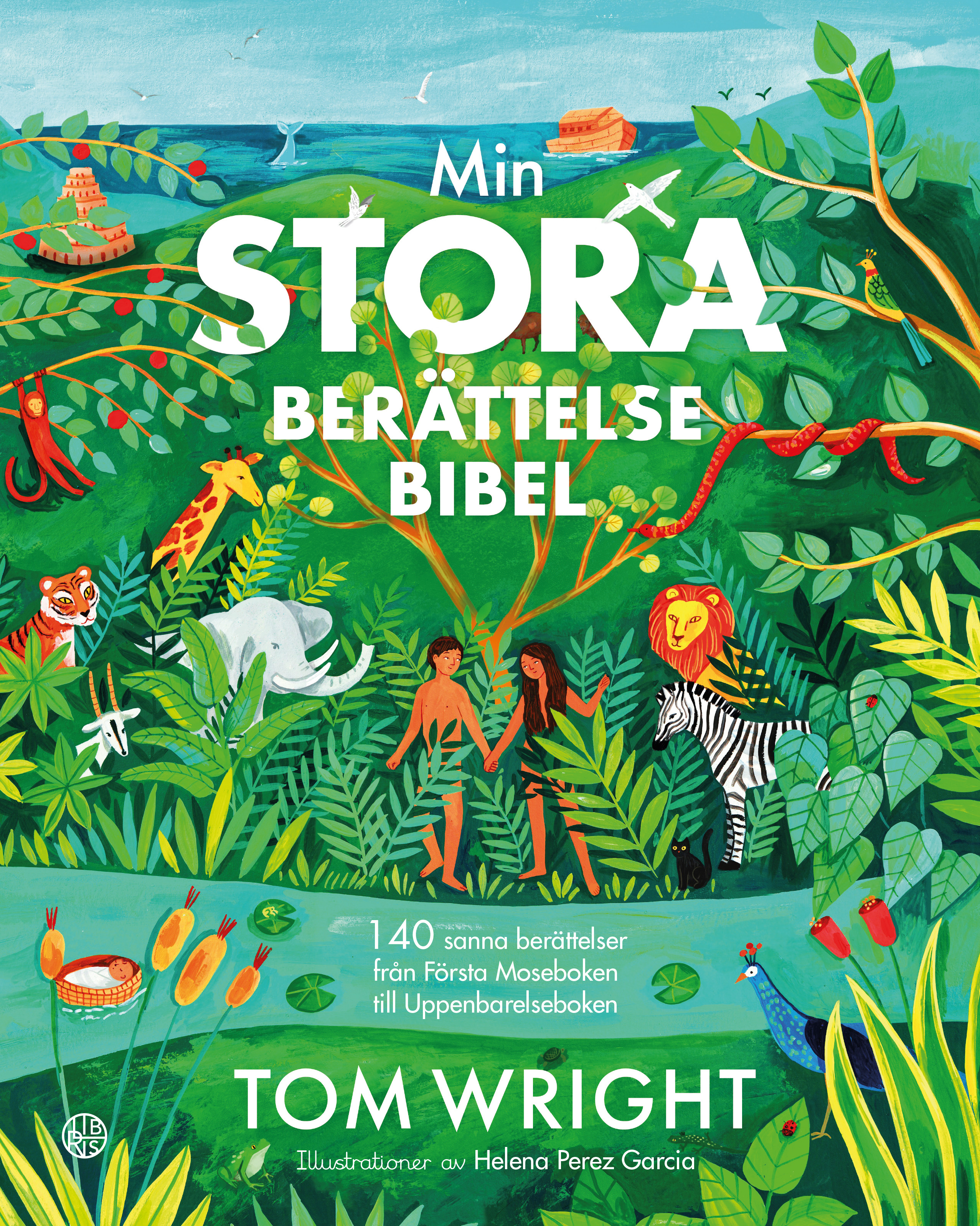 Min stora berättelsebibel - Tom Wright