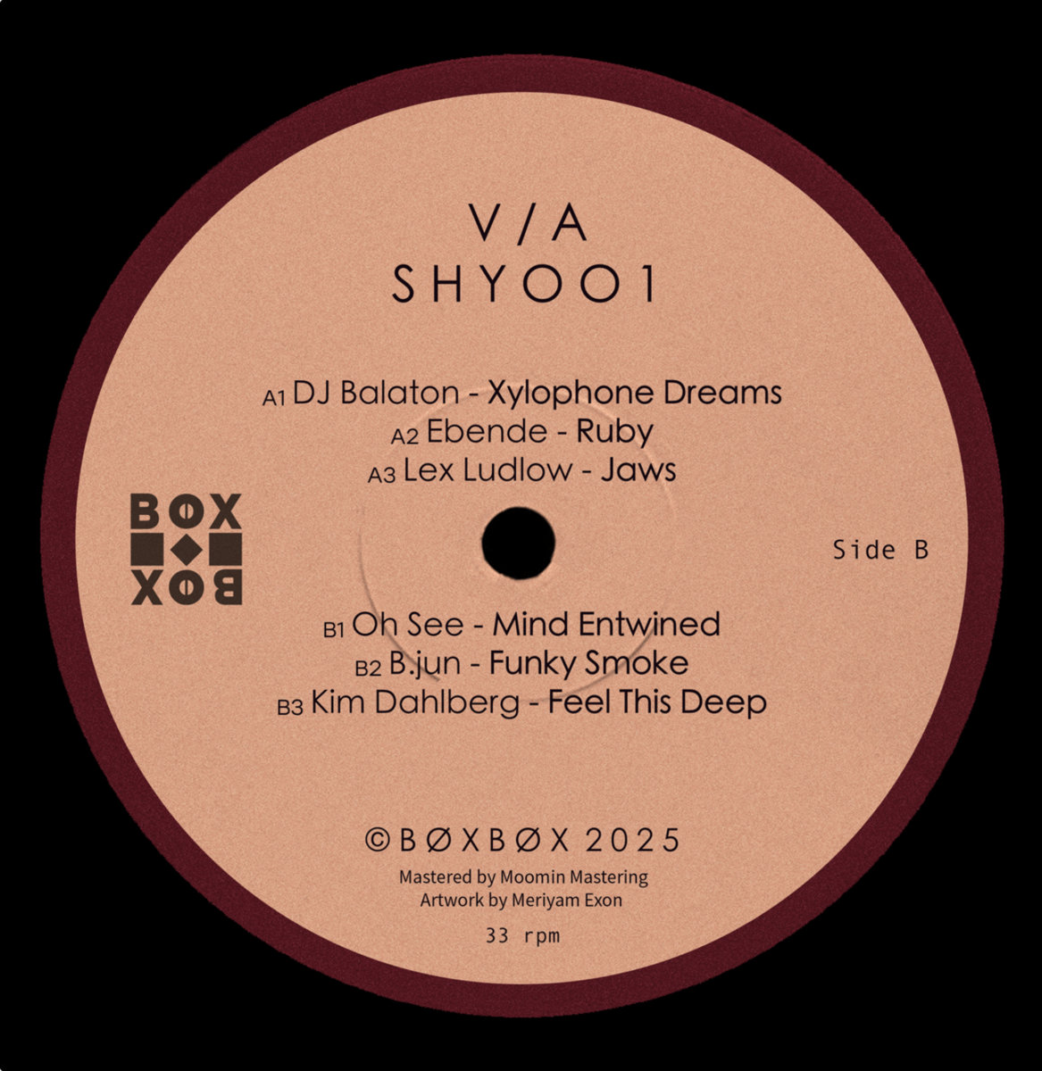 Va - SHY001 / BØX BØX