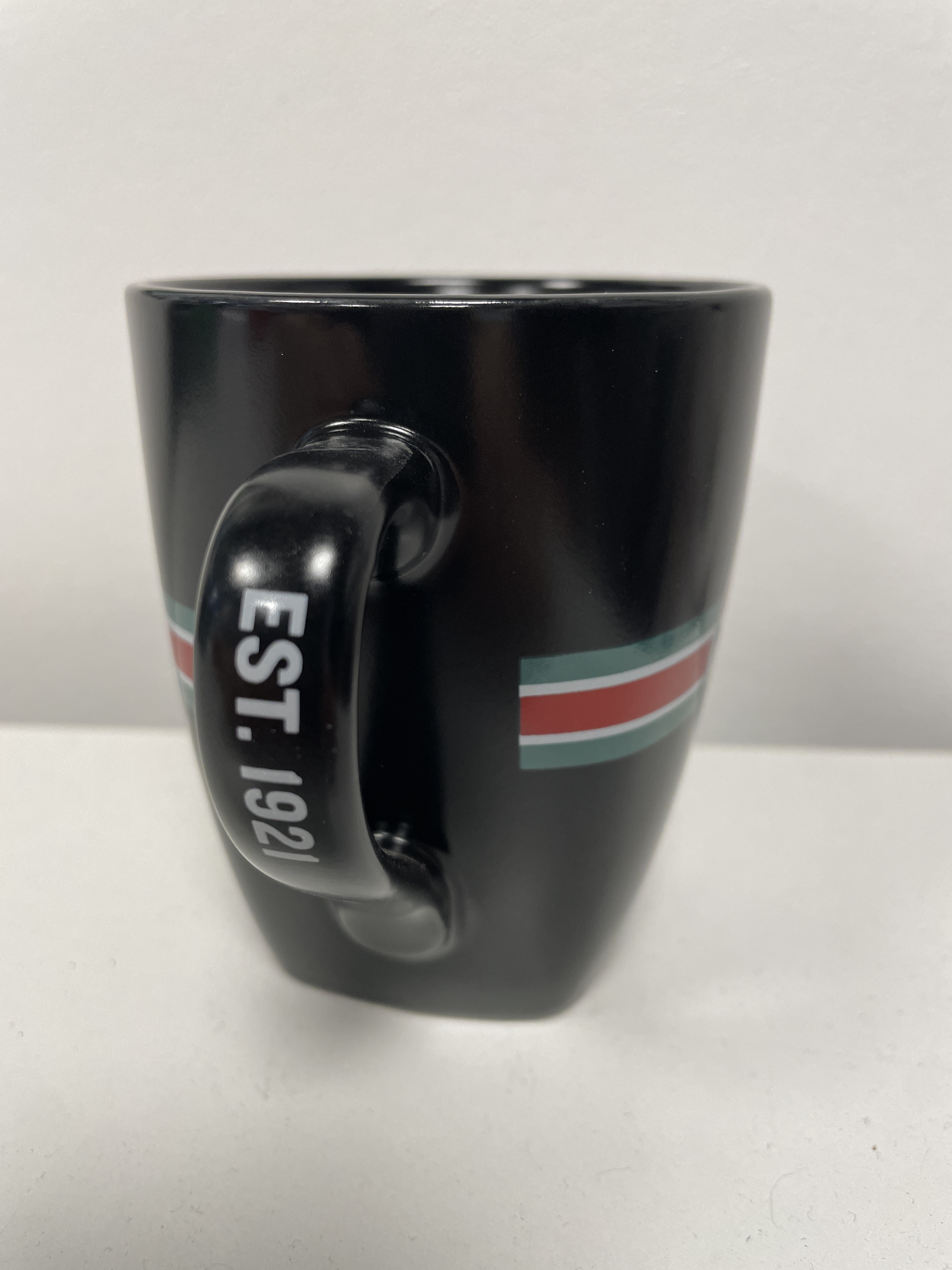 MoDo Mug - Black/Green/White - 2