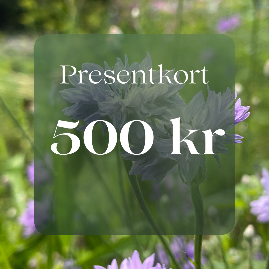 Presentkort 500 kr