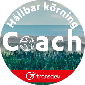 Pin "Coach"