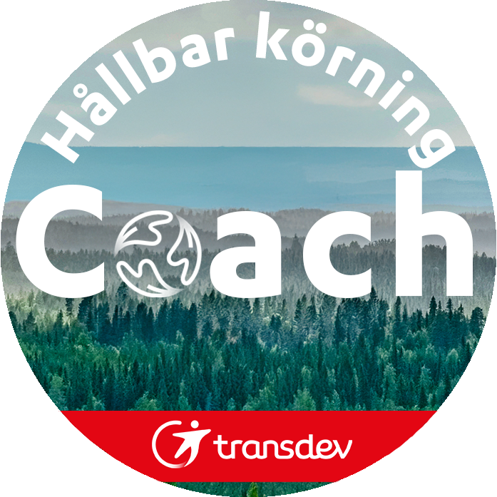 Pin "Coach" - 2