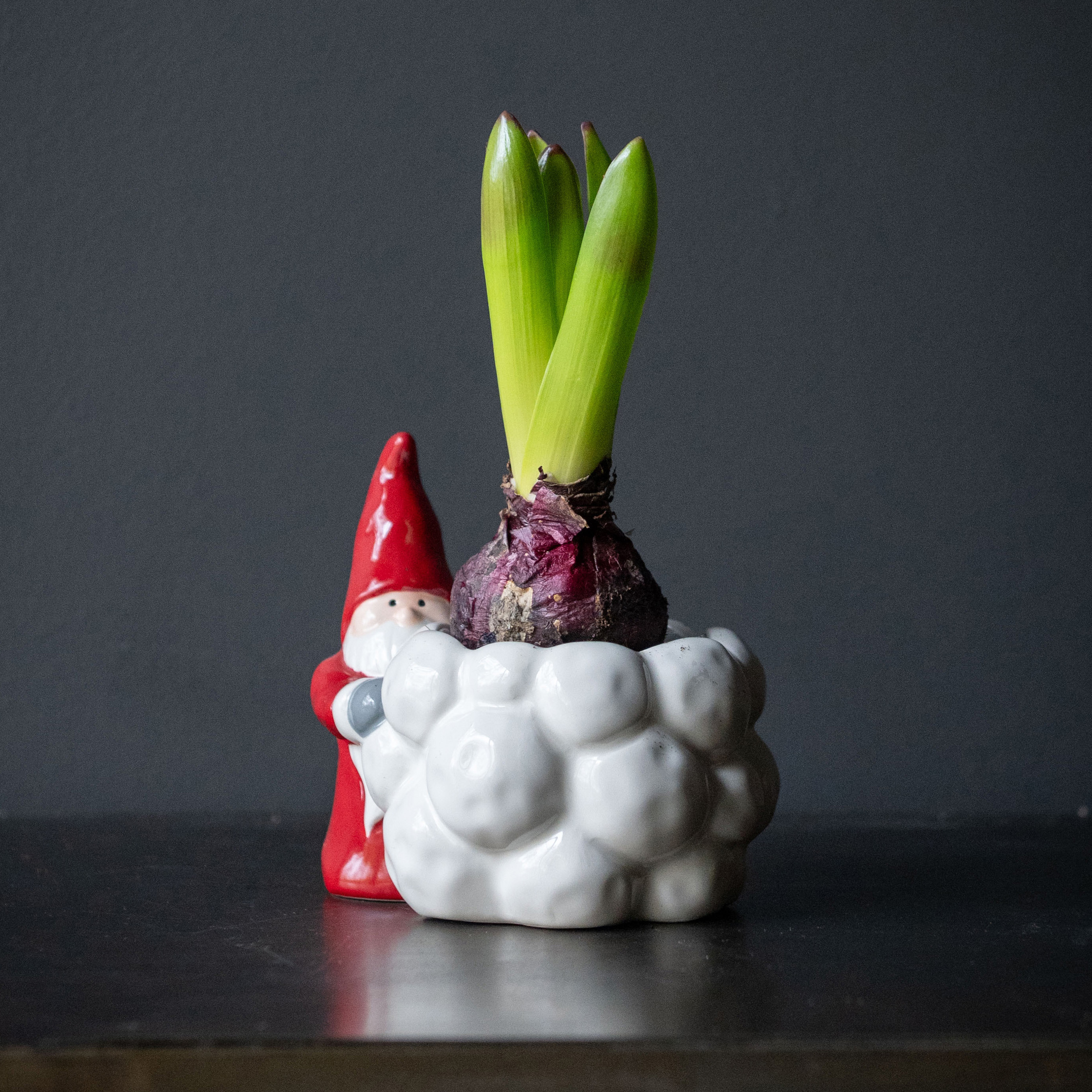 Tomte Kruka - Liten