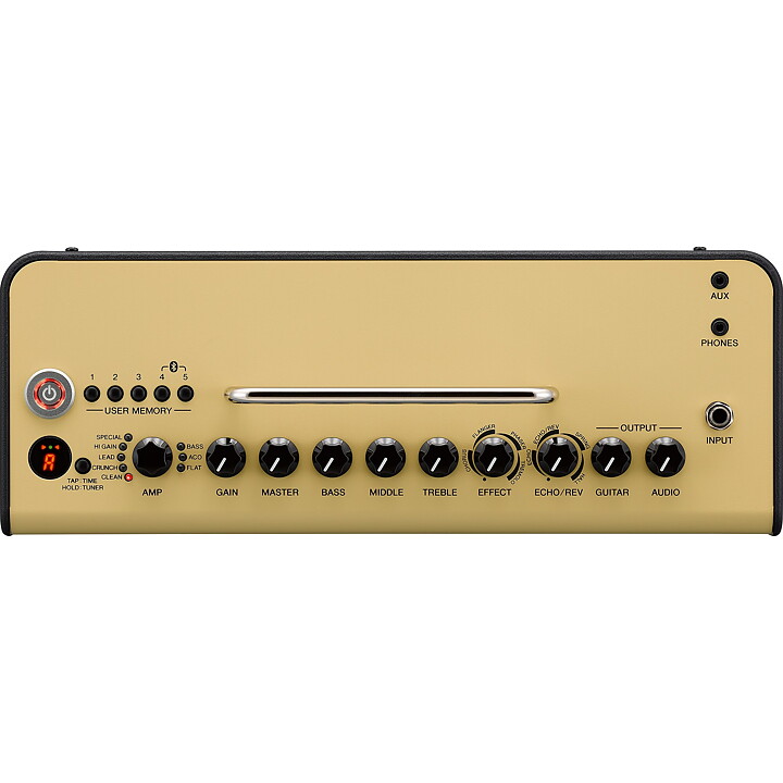 YAMAHA THR10II