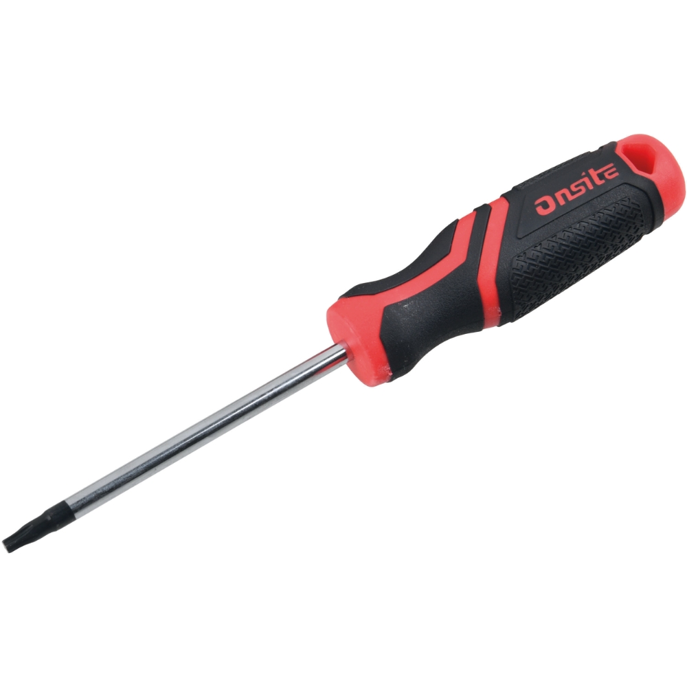 Skruvmejsel Torx T25 100mm