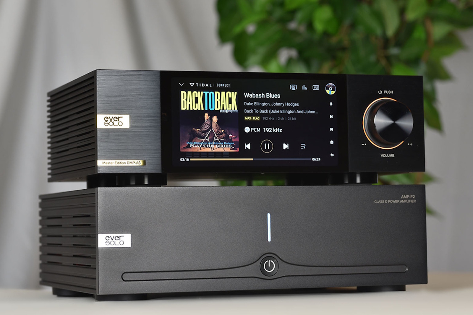 Eversolo AMP F2 - slutsteg/monoblock - 2