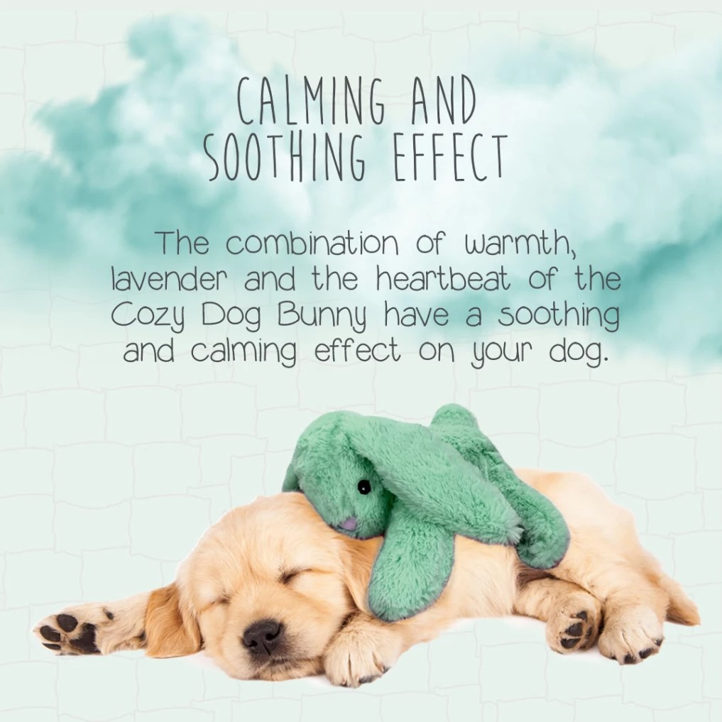Cozy Dog Bunny - Green - 4