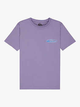 Quiksilver t-shirt jr Quik globe daysbreak