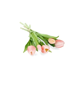 Tulpanbukett - Rosa  