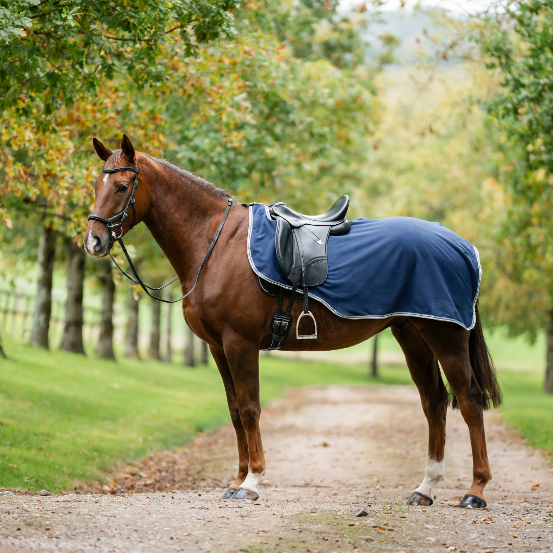 RAMBO WATERPROOF FLEECE EXERCISE SHEET - 3