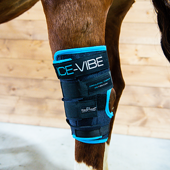 ICE VIBE HOCK WRAPS