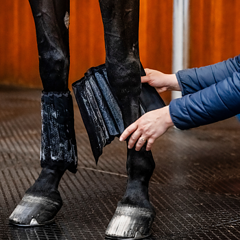 ICE VIBE COLD PACKS FOR BOOTS