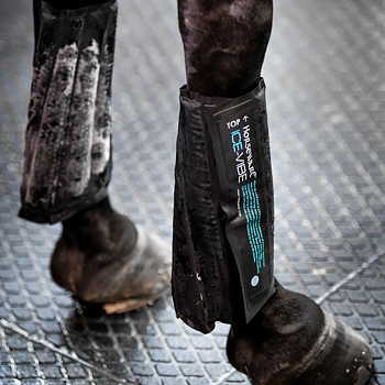 ICE VIBE COLD PACKS FOR BOOTS