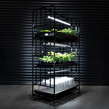 X-Stream odlingshylla med  6st 24W LED-lister  växtbelsyning