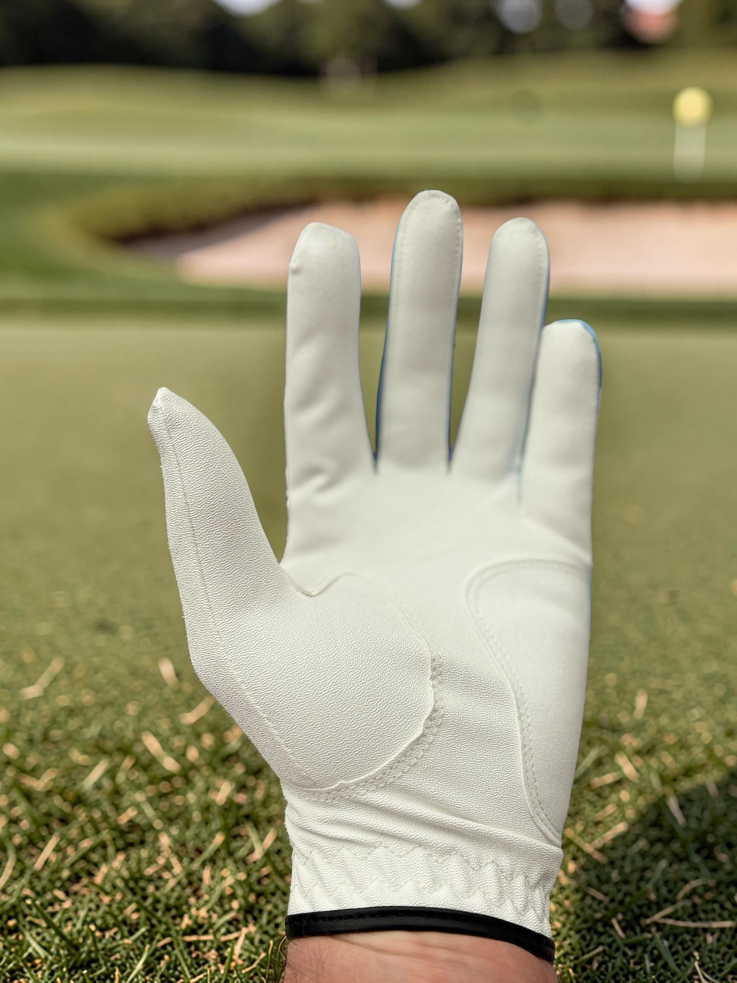 Color Glove - Light Blue - 2
