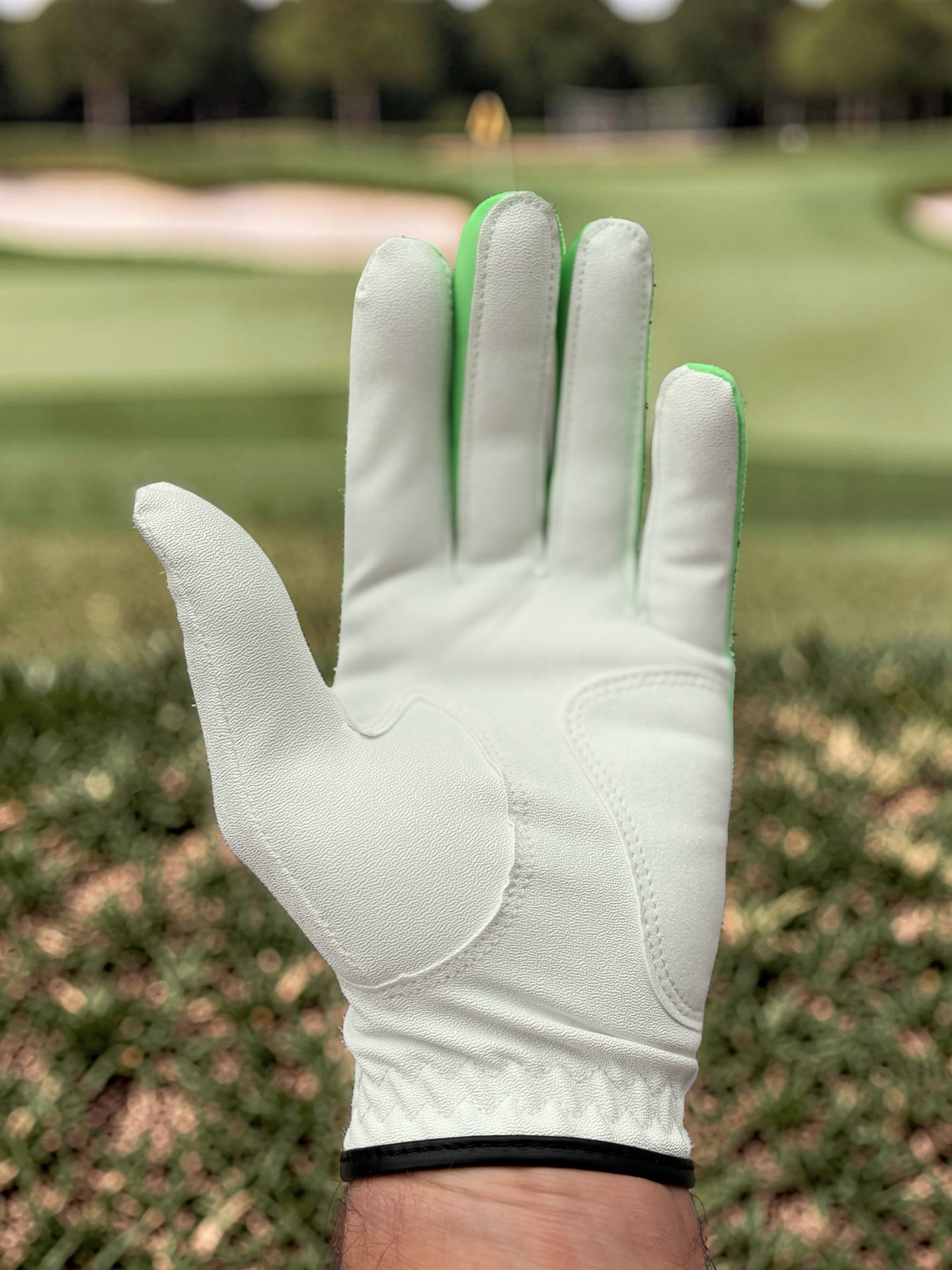 Color Glove - Green - 2