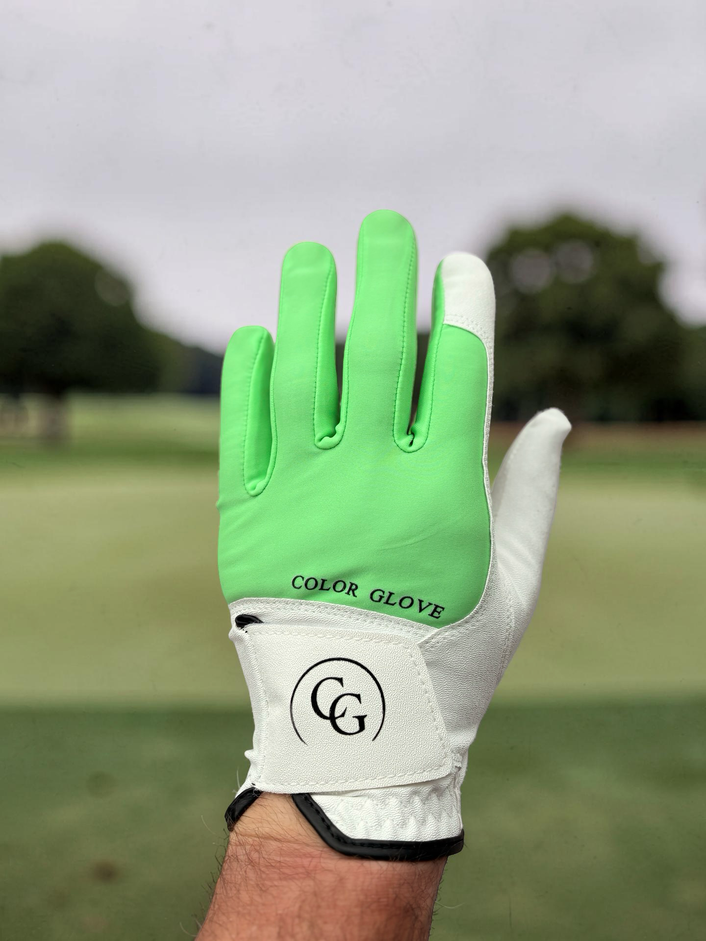 Color Glove - Green