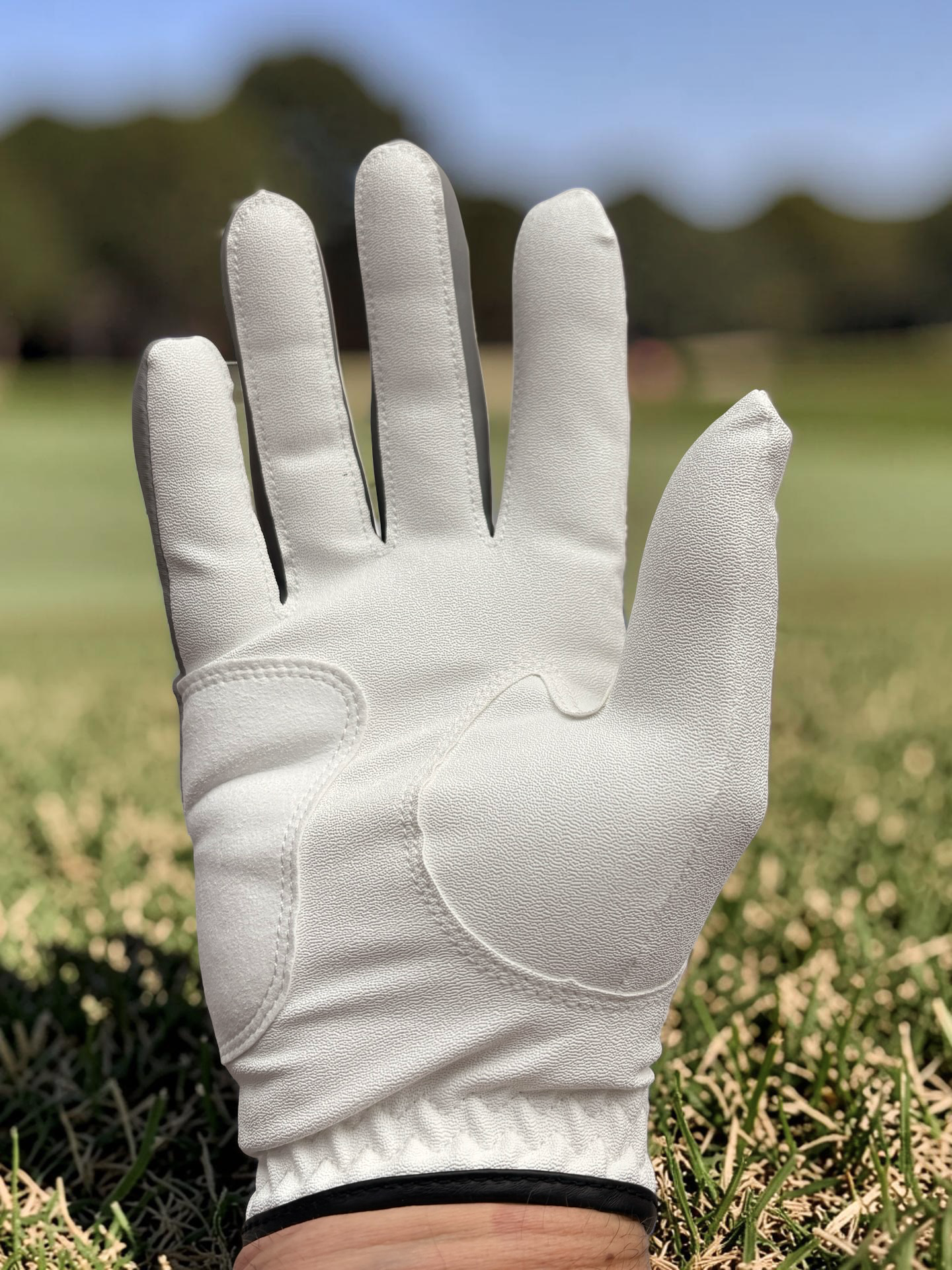 Color Glove - Grey (Right) - 2
