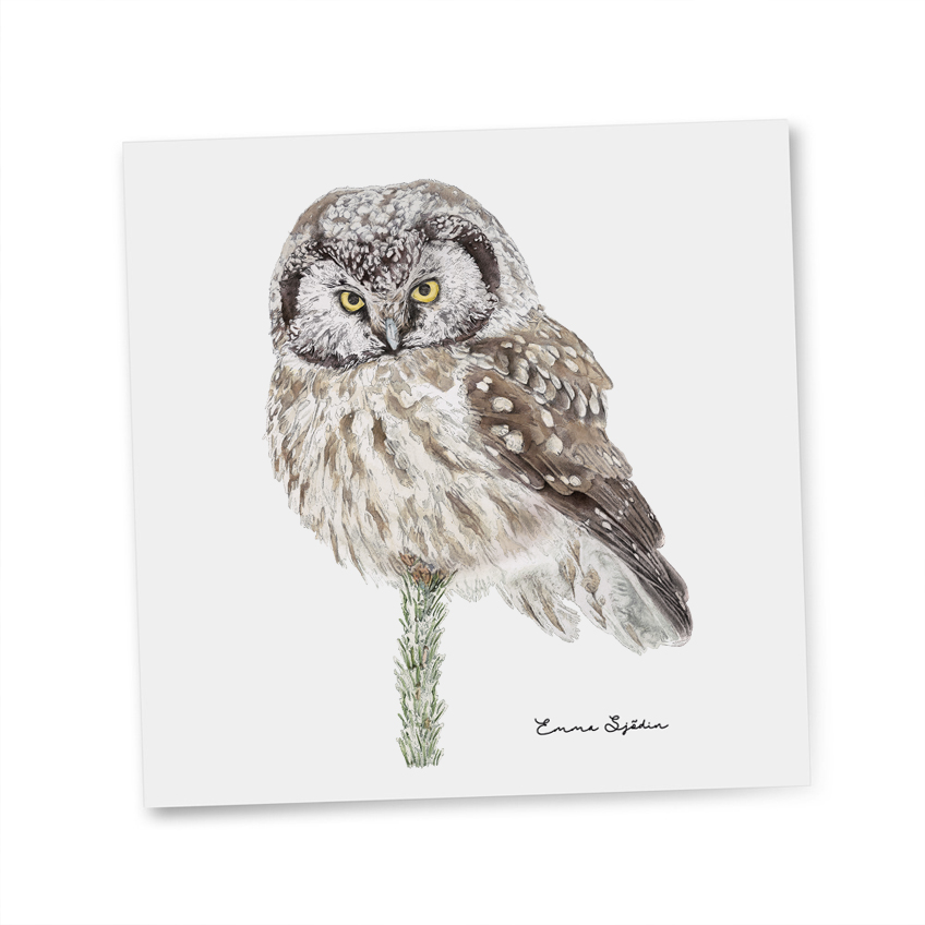 GIFTCARD  OWL - 2