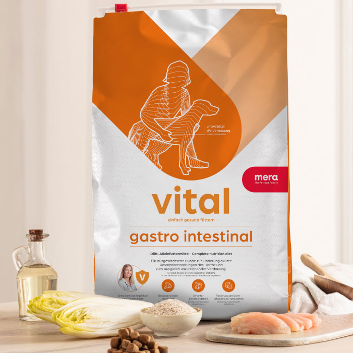 mera Hund Vital Gastro Intestinal, 3kg