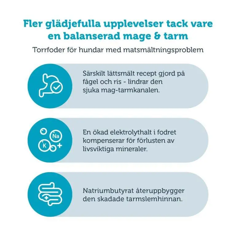 mera Hund Vital Gastro Intestinal, 3kg - 2