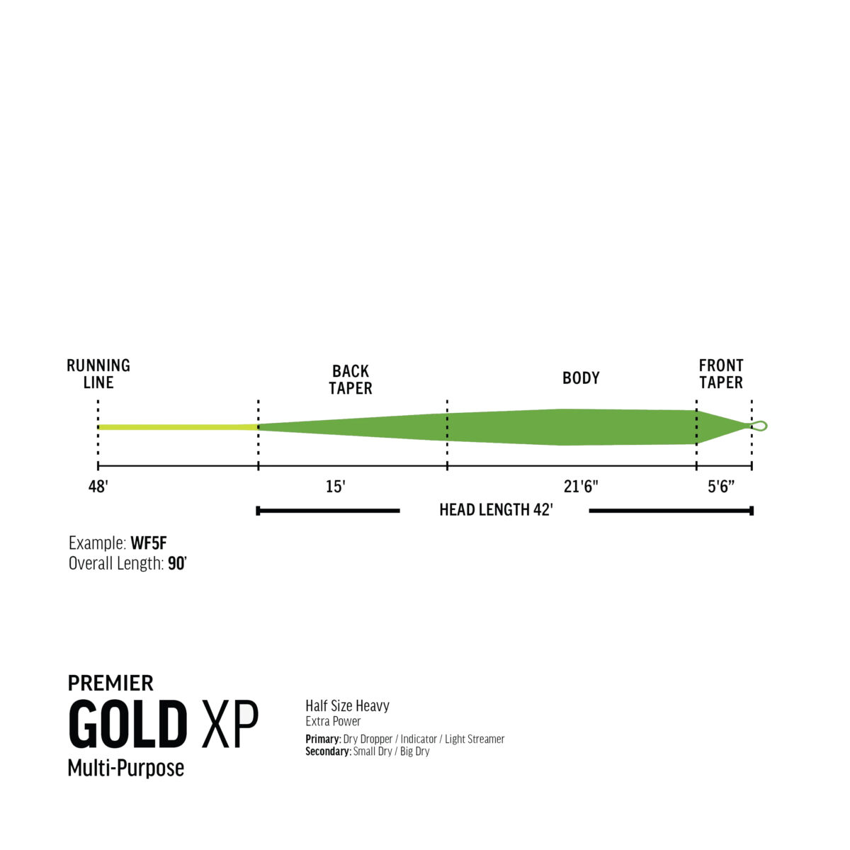 RIO Premier Gold XP - 2