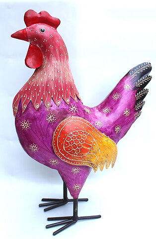 Henrietta - hen