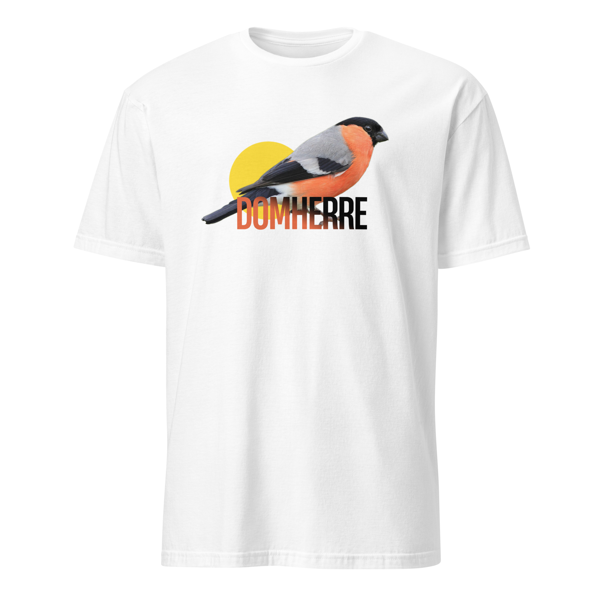 Domherre - enbart för domherrar