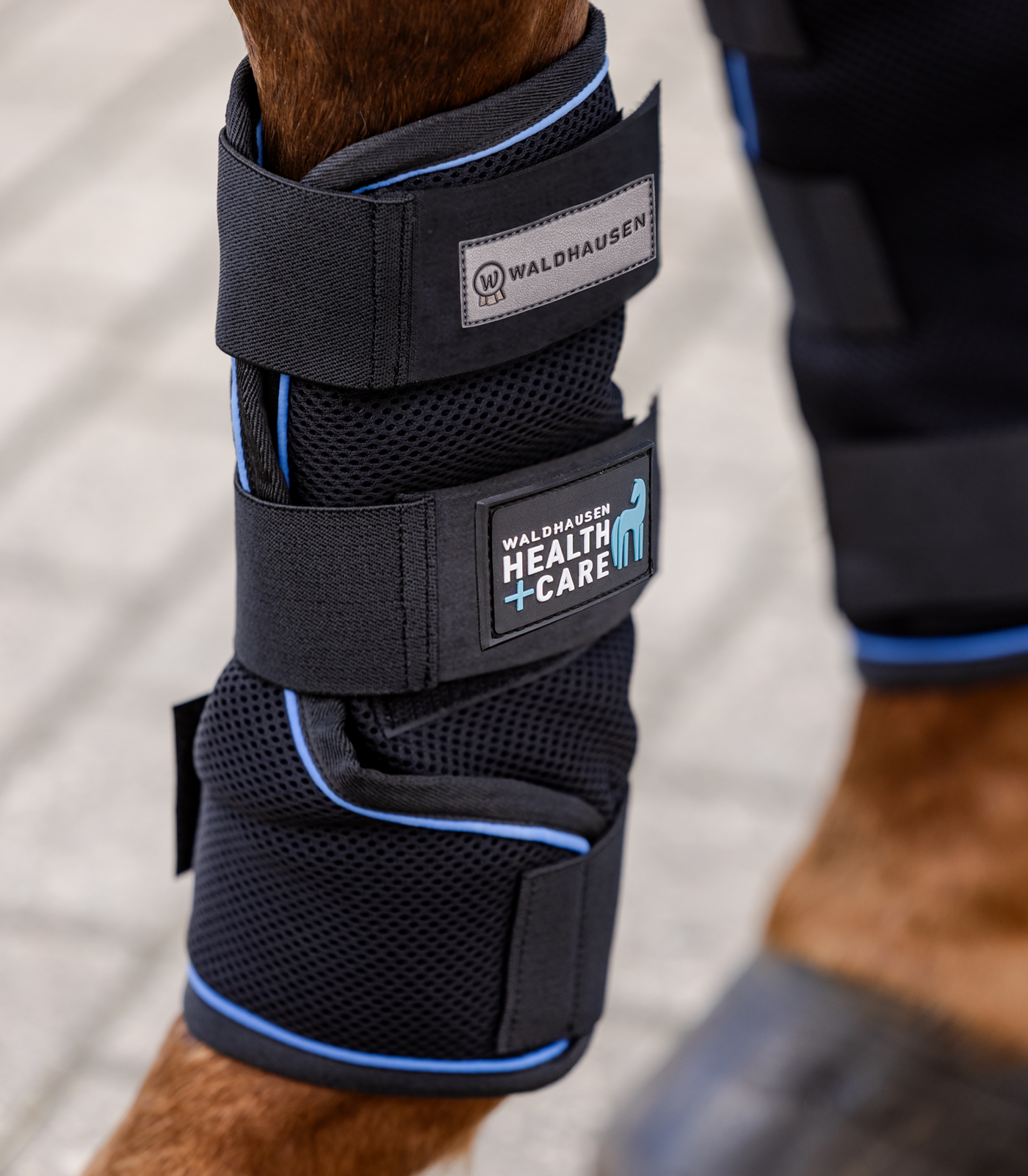 Health + Care Ice-Layer Benskydd – kylande stöd för hästens ben