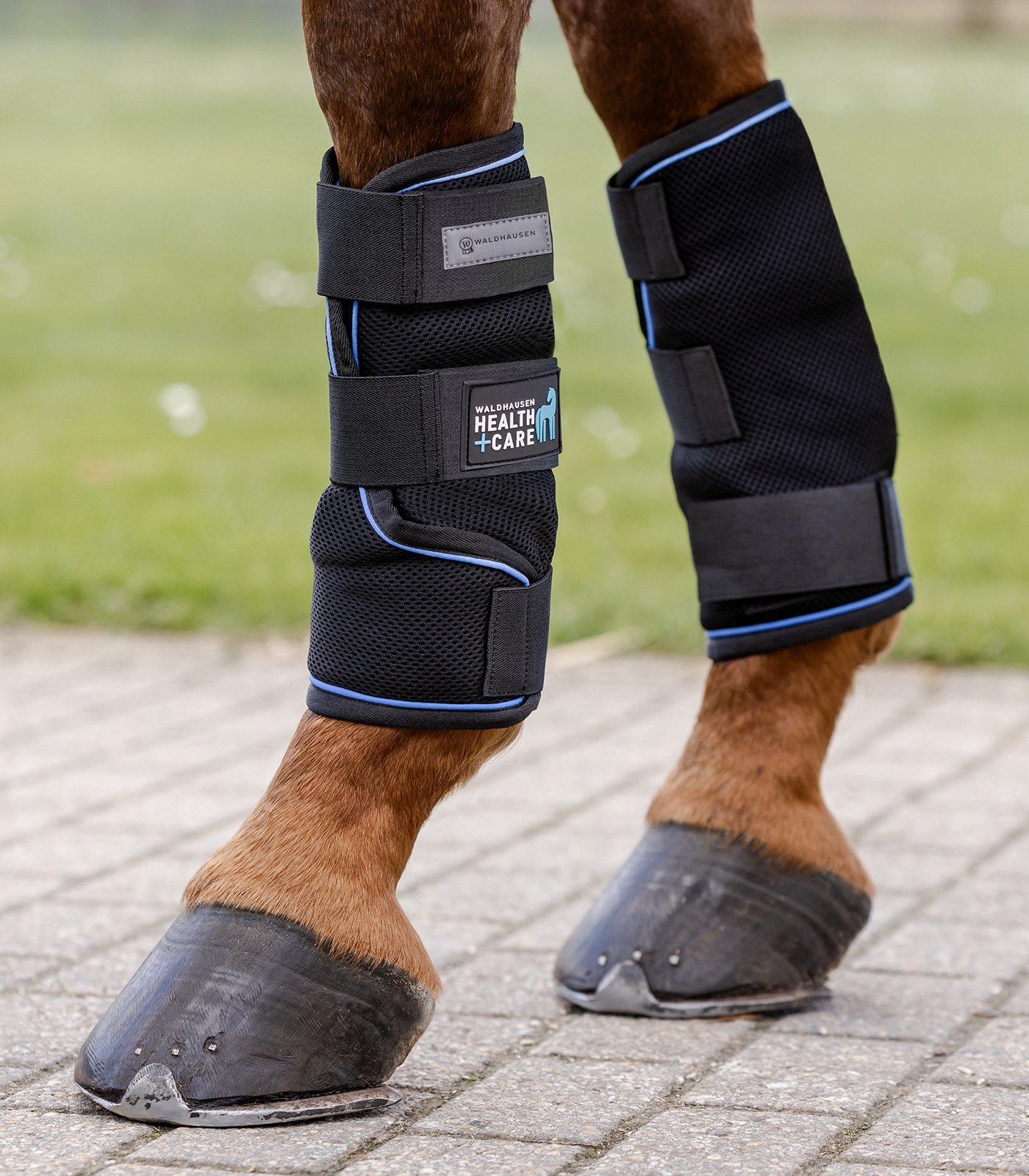 Health + Care Ice-Layer Benskydd – kylande stöd för hästens ben - 6