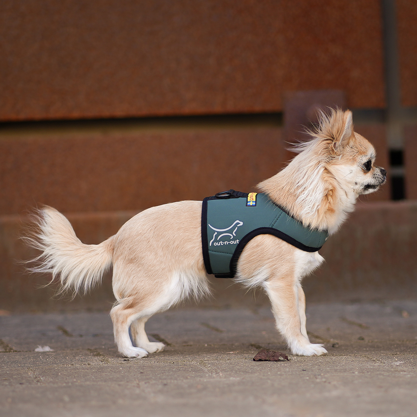 Forma™ Harness | Designed for Balance