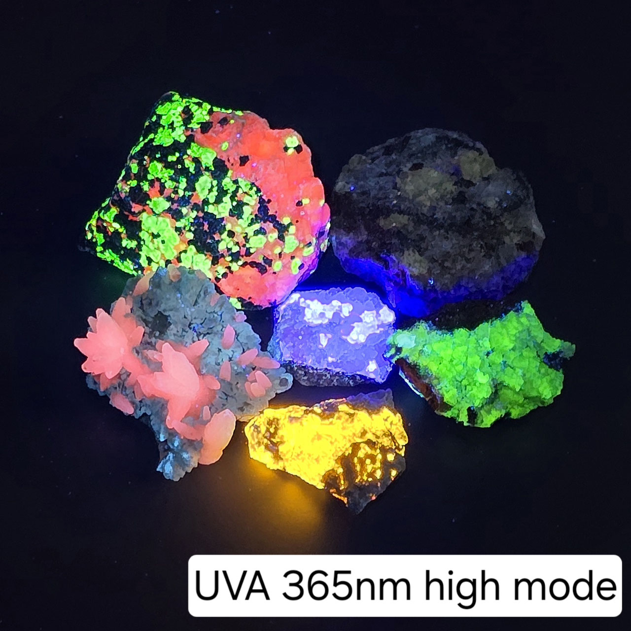 UV-lampa Chameleon, kort- medium och långvåg LED - 4
