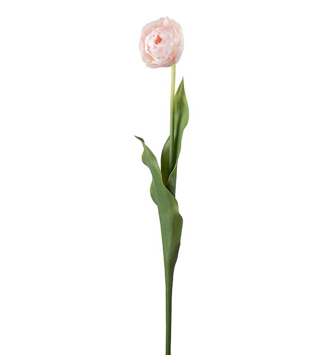 Tulpan rosa 67 cm
