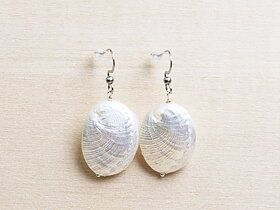 Shells