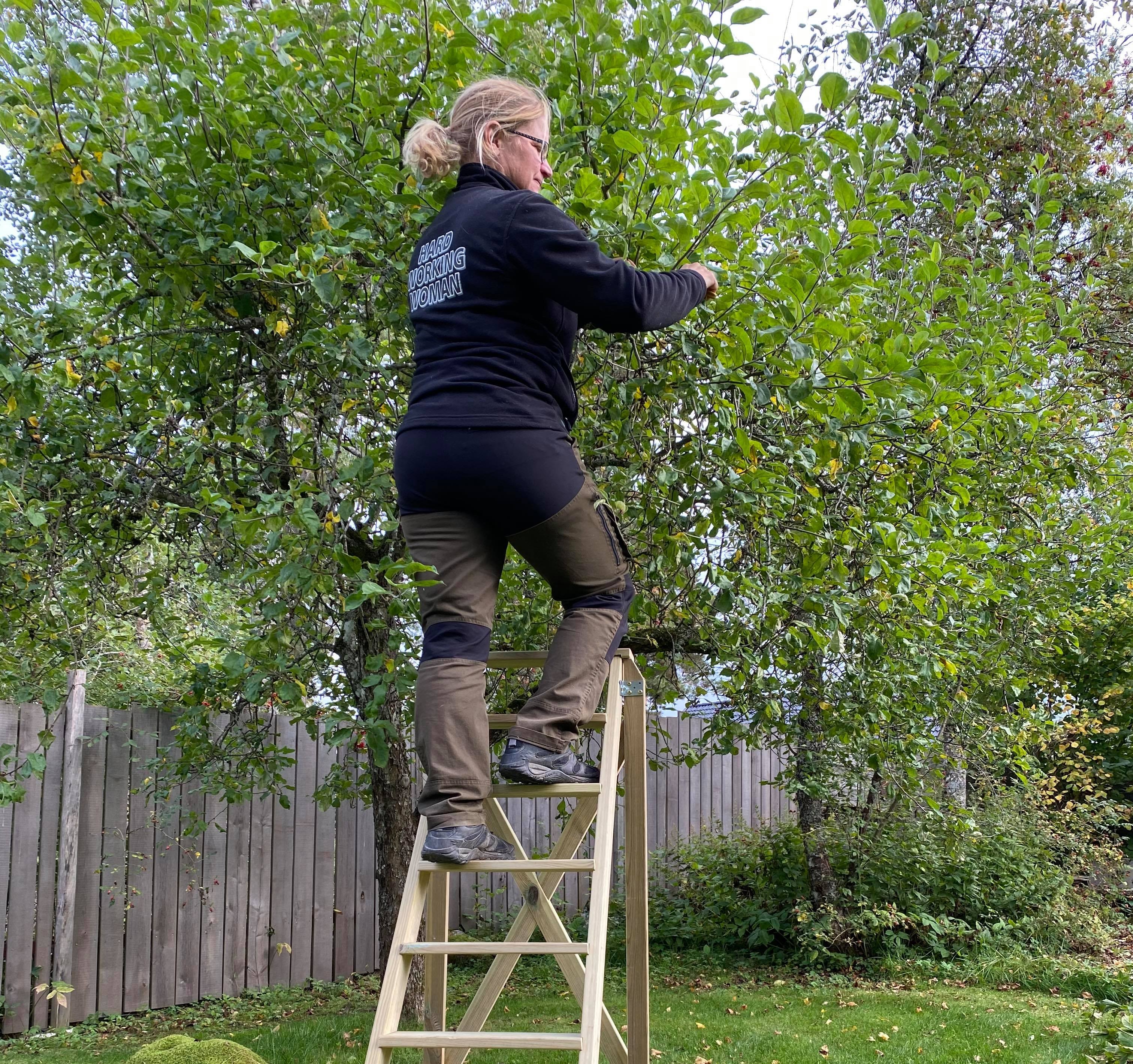 Kurs i trädbeskärning 11/10 kl. 9-13