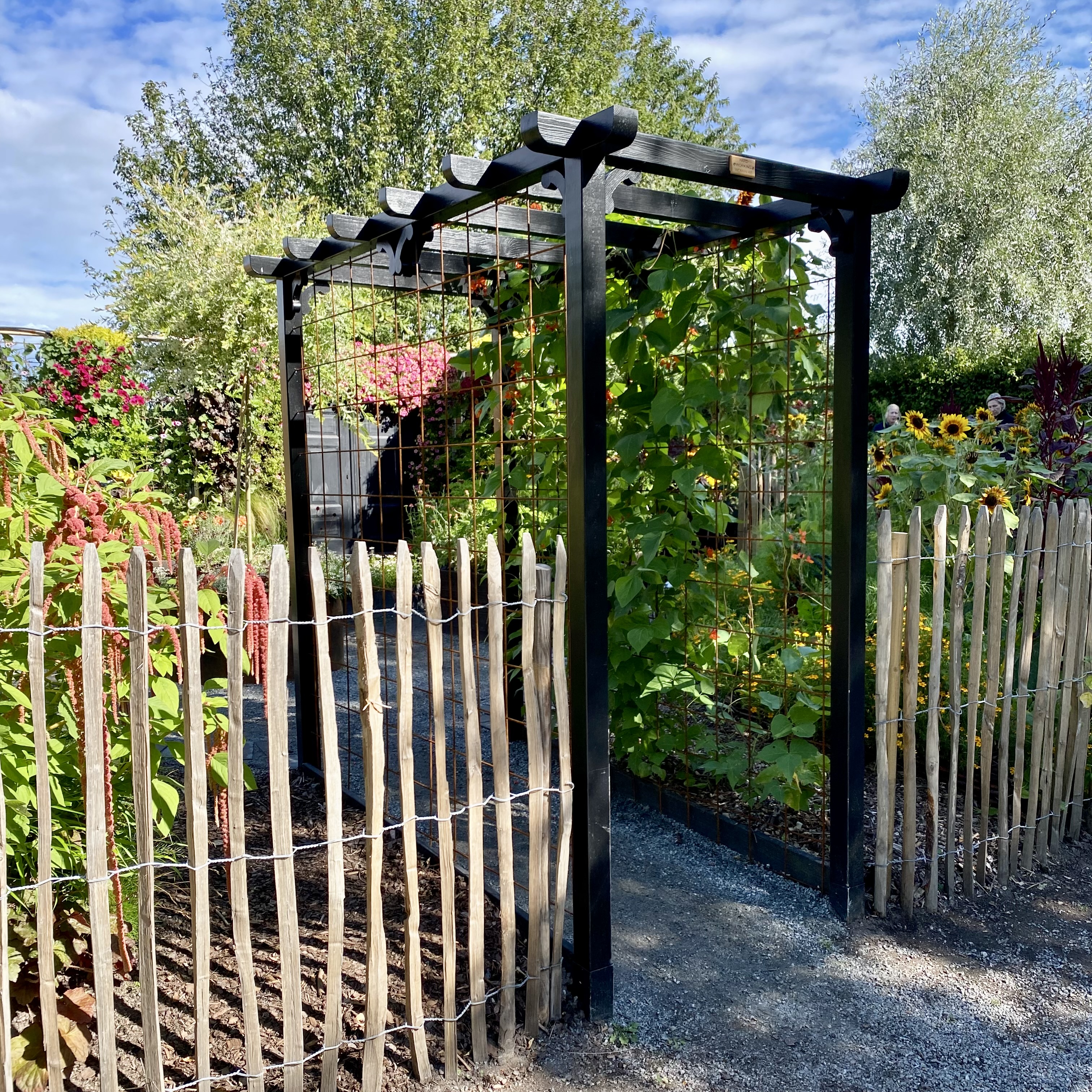 Pergolagång - 5