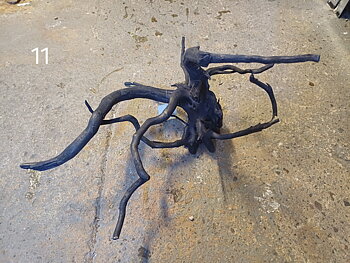 Black Moor Wood 40-45CM