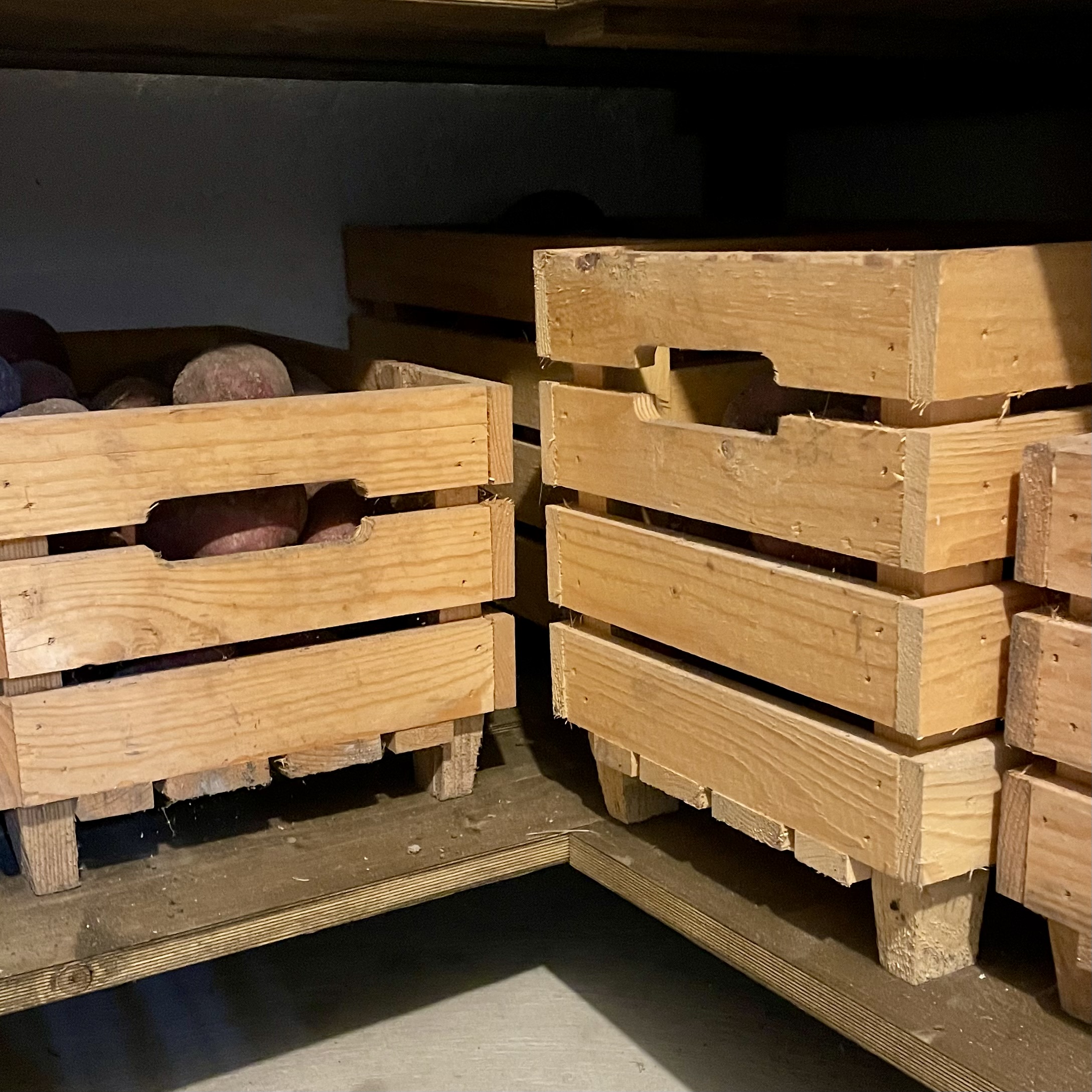 Skördekorg - 6