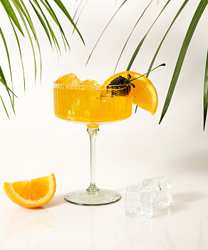 Cocktailglas i plast – coupe, 300 ml