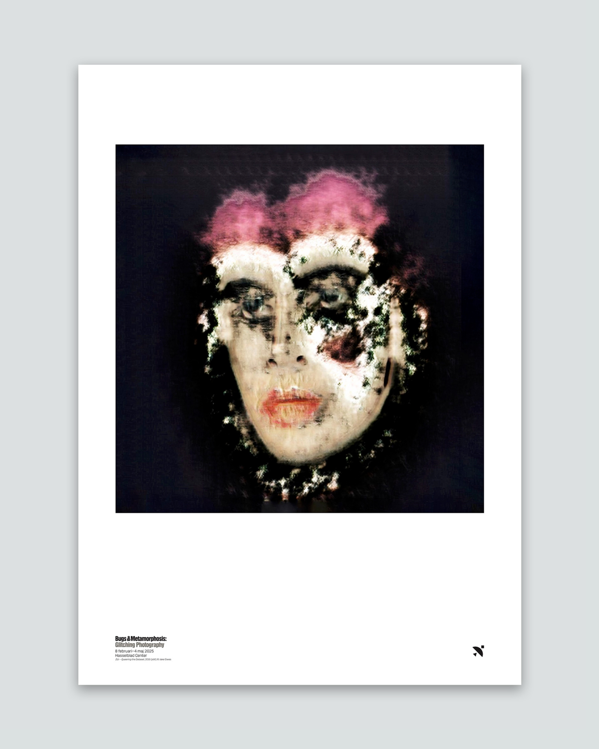 Utställningsaffisch,  Bugs & Metamorphosis: Glitching Photography