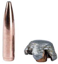 Federal Fusion .223 Rem. 4,01g / 62gr - 2