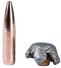 Federal Fusion .223 Rem. 4,01g / 62gr